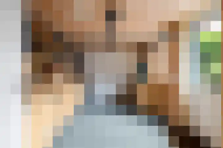 Bakboard 7 Joure thumbnail 17