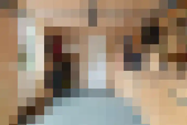 Bakboard 7 Joure thumbnail 18