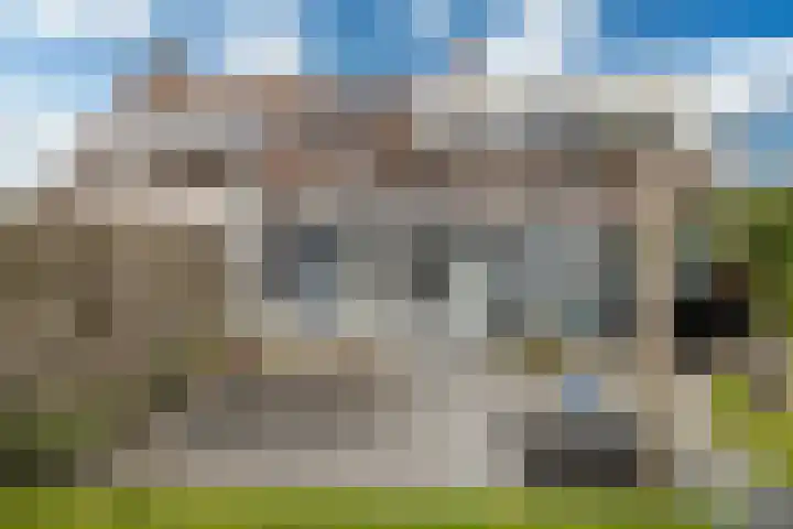 Bakboard 7 Joure thumbnail 19