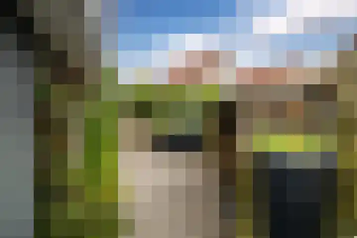 Bakboard 7 Joure thumbnail 21