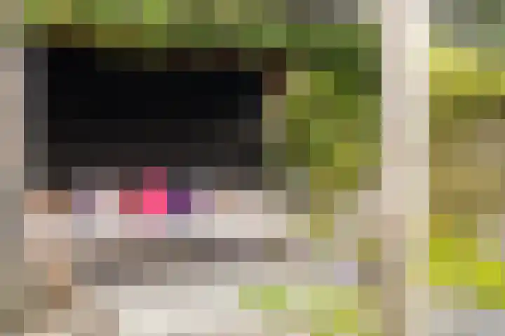Bakboard 7 Joure thumbnail 23