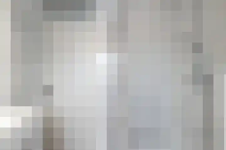 Bakboard 7 Joure thumbnail 28