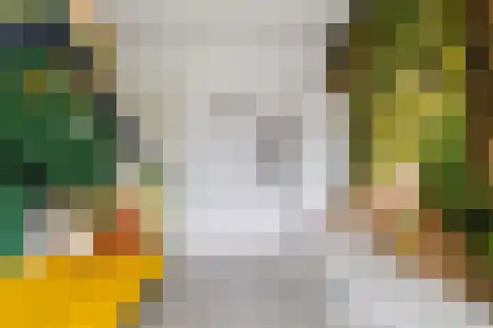 Bakboard 7 Joure thumbnail 30