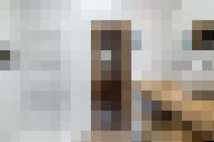 Bakboard 7 Joure thumbnail 37