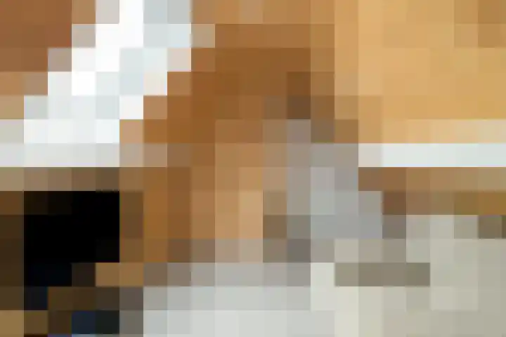 Bakboard 7 Joure thumbnail 43