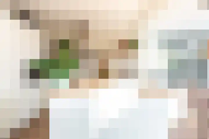 Bakboord 1 Enkhuizen thumbnail 14