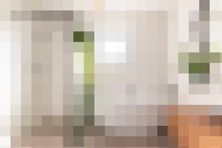 Bakboord 1 Enkhuizen thumbnail 23