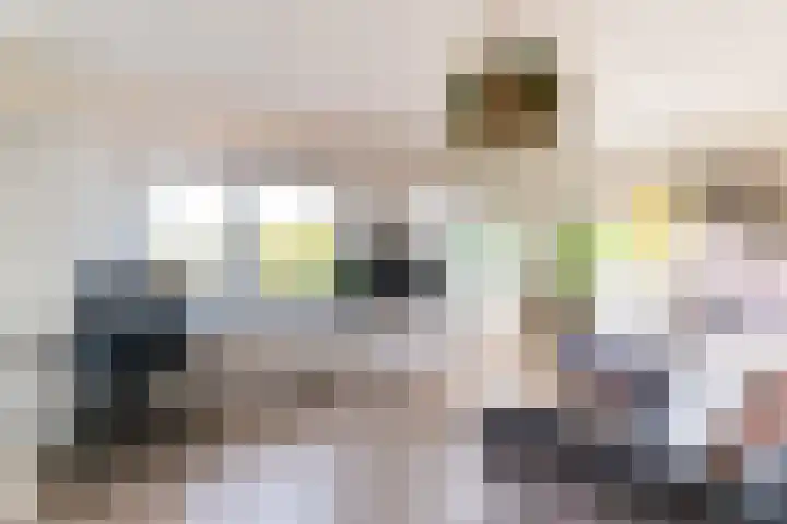 Bakboord 1 Enkhuizen thumbnail 27