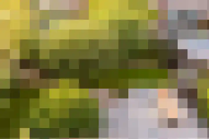 Bakboord 1 Enkhuizen thumbnail 31