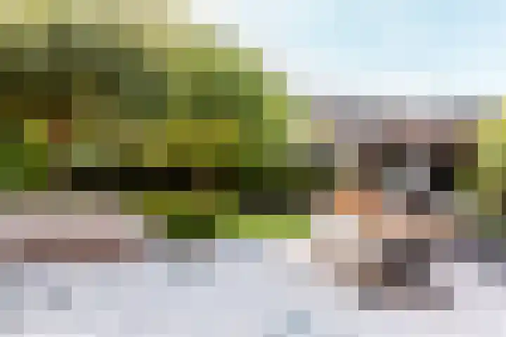 Bakboord 1 Enkhuizen thumbnail 32