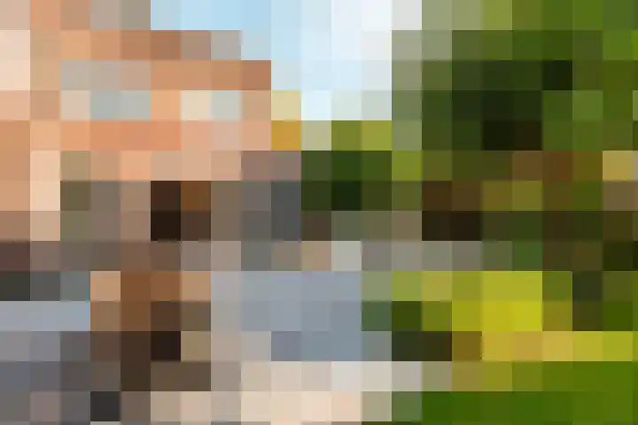 Bakboord 1 Enkhuizen thumbnail 33