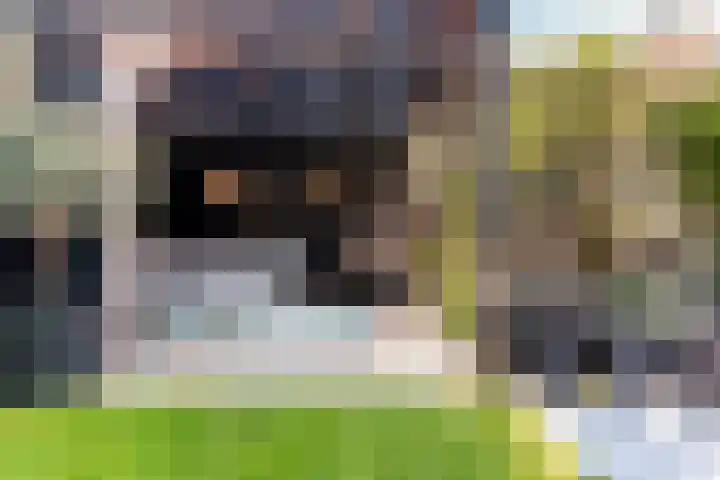 Bakboord 1 Enkhuizen thumbnail 34