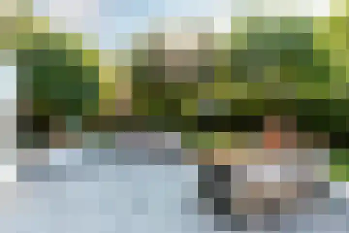 Bakboord 1 Enkhuizen thumbnail 36