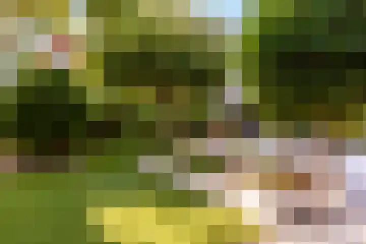 Bakboord 1 Enkhuizen thumbnail 37