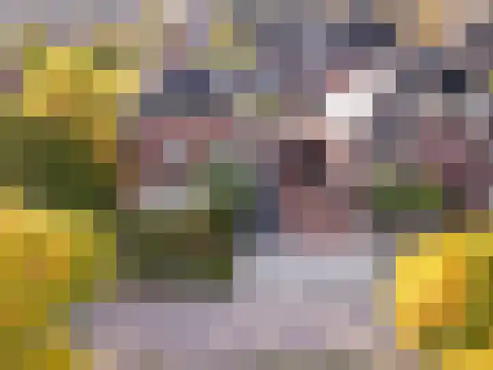 Bakboord 1 Enkhuizen thumbnail 41