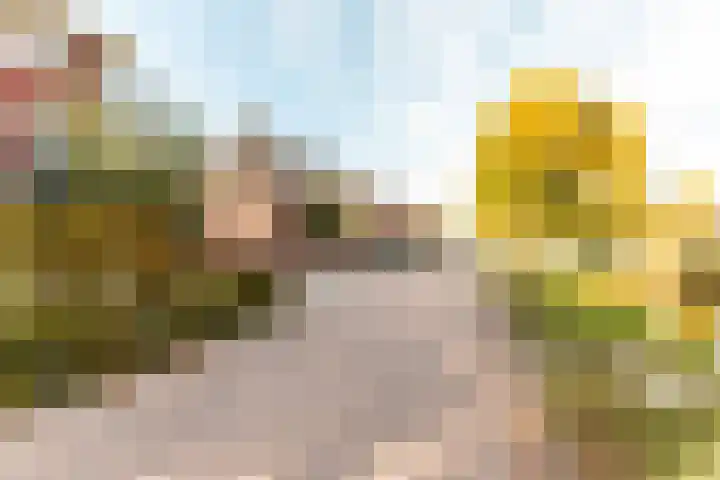 Bakboord 1 Enkhuizen thumbnail 43