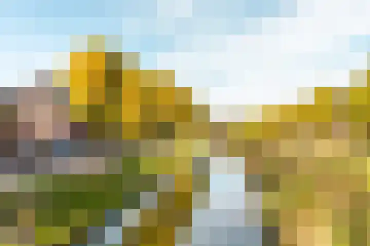 Bakboord 1 Enkhuizen thumbnail 44