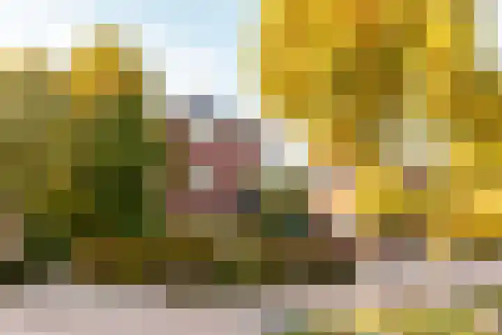 Bakboord 1 Enkhuizen thumbnail 45