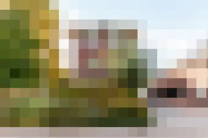 Bakboord 1 Enkhuizen thumbnail 46