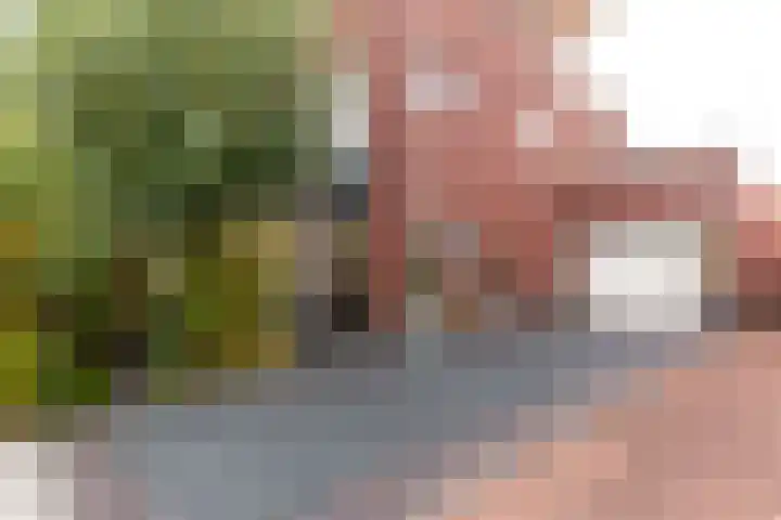 Bakboord 1 Enkhuizen thumbnail 5