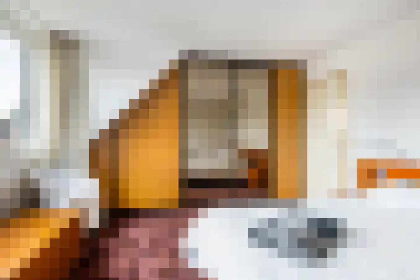 Bakboord 12 Wijk bij Duurstede thumbnail 25