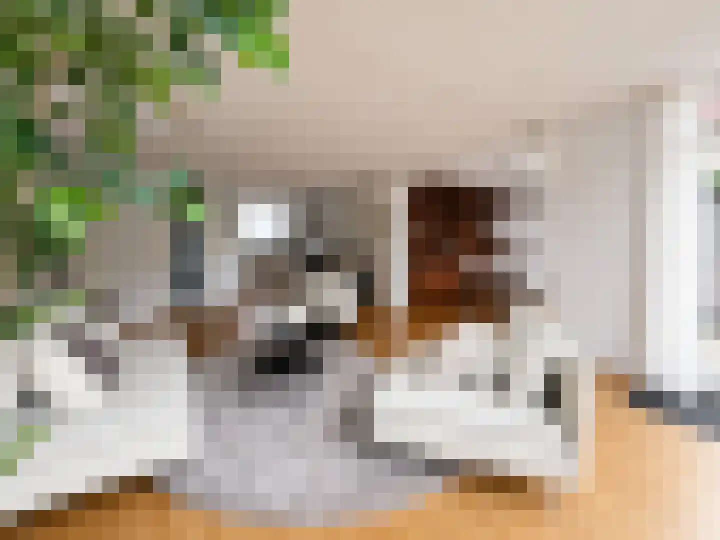 Bakboord 12 Wijk bij Duurstede foto 3
