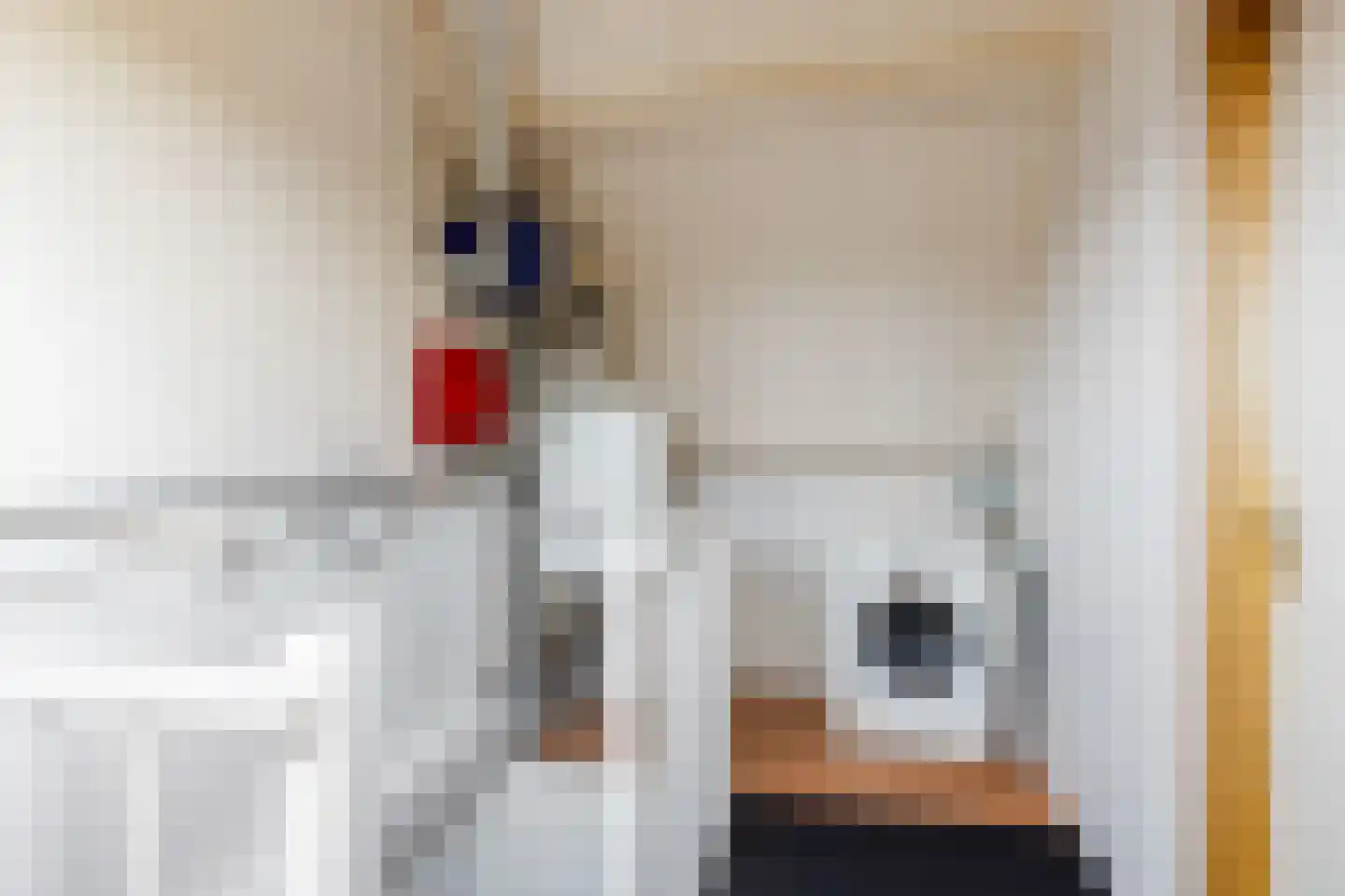 Bakboord 12 Wijk bij Duurstede thumbnail 33