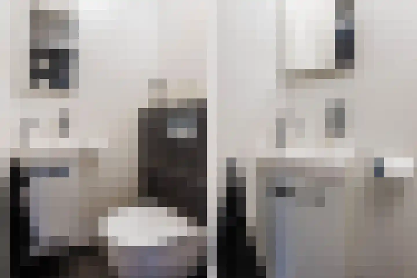 Bakboord 12 Wijk bij Duurstede thumbnail 9