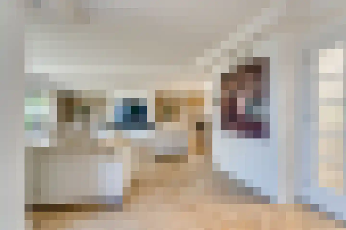 Bakboord 14 Almere thumbnail 13