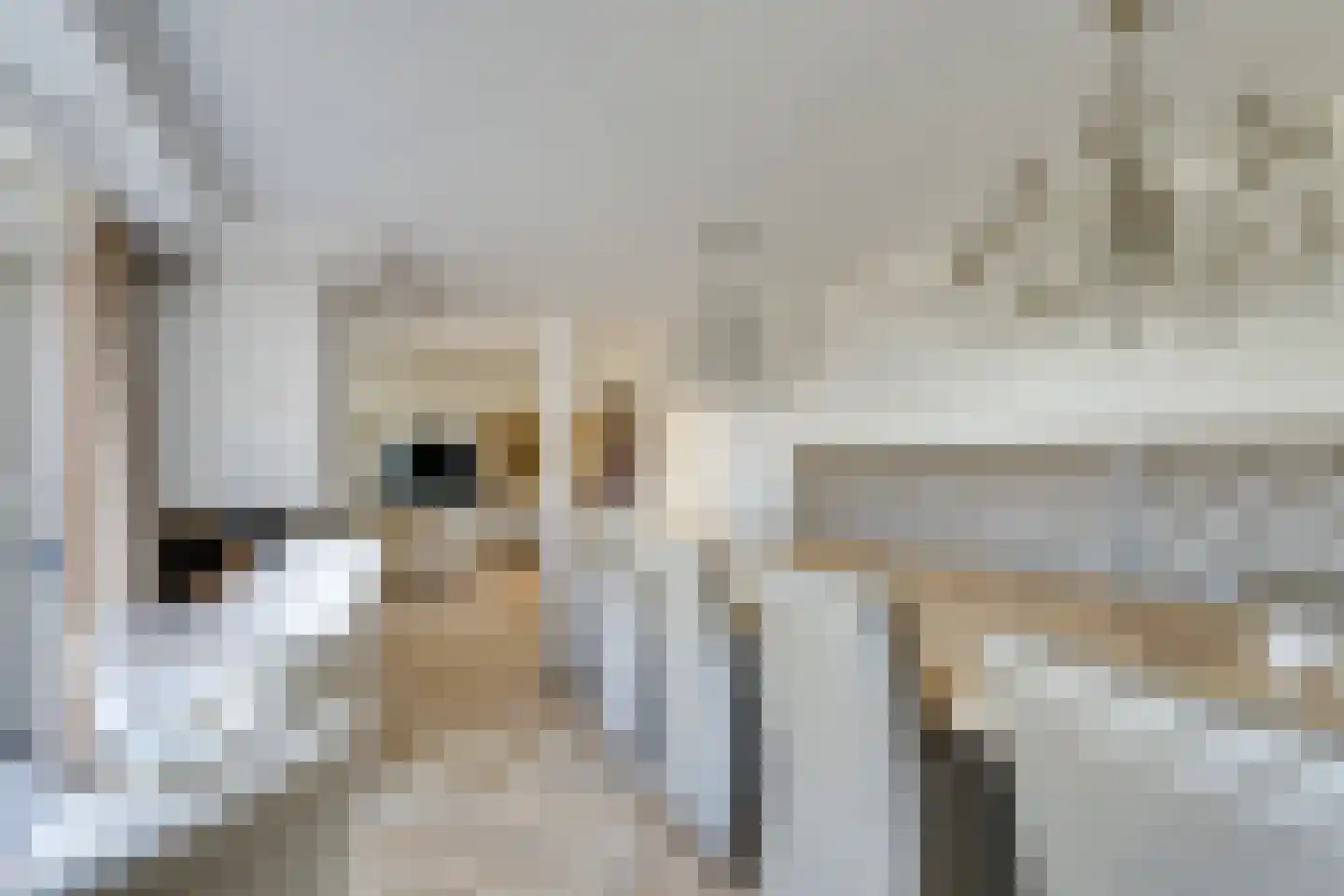 Bakboord 14 Almere thumbnail 17