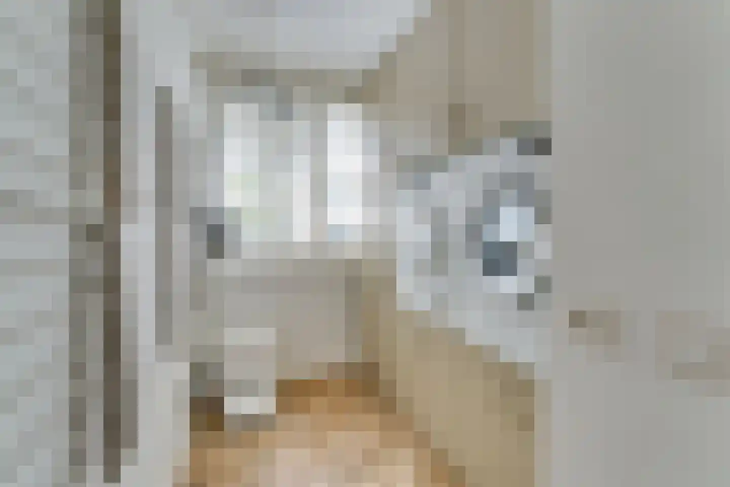 Bakboord 14 Almere thumbnail 20