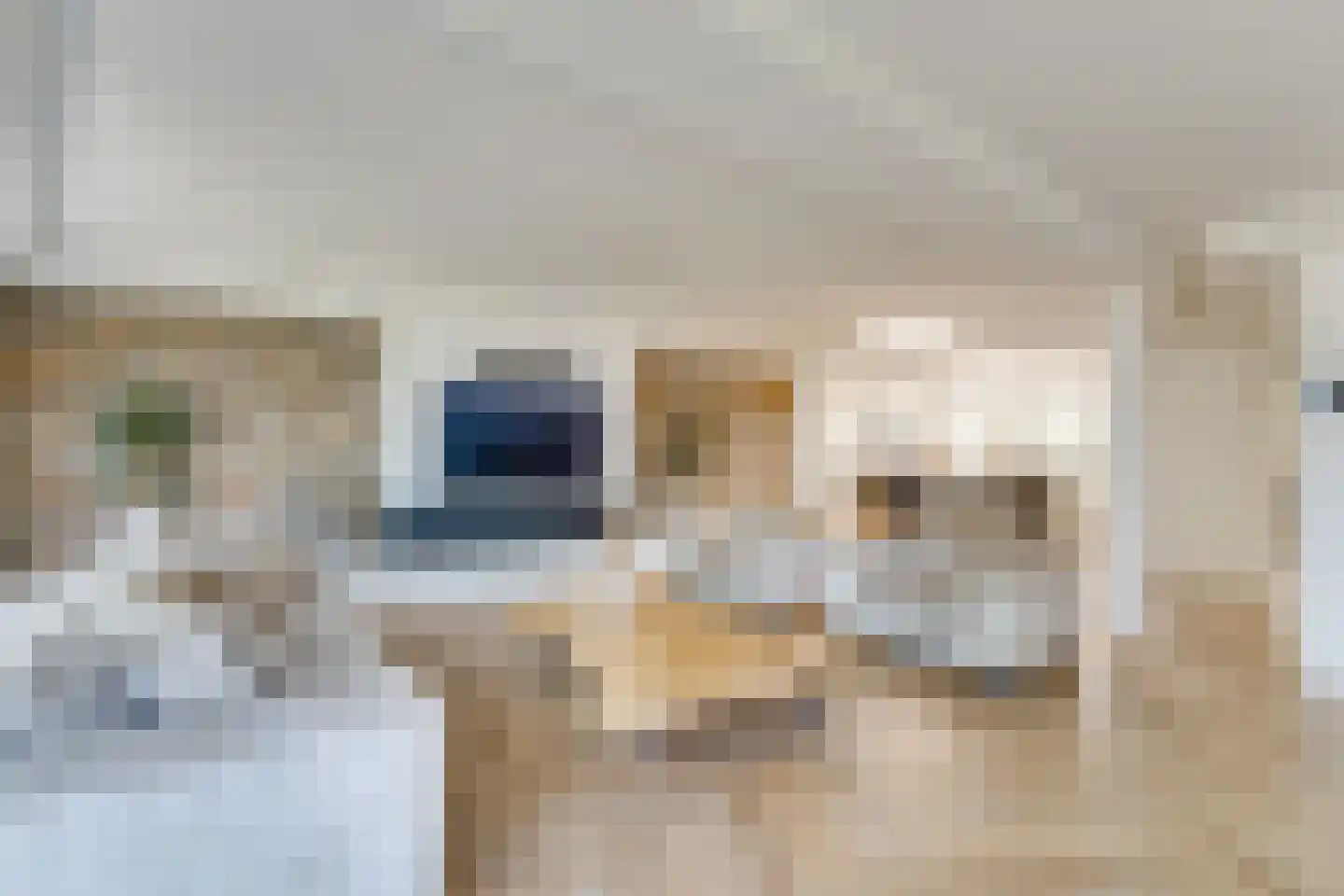 Bakboord 14 Almere thumbnail 5