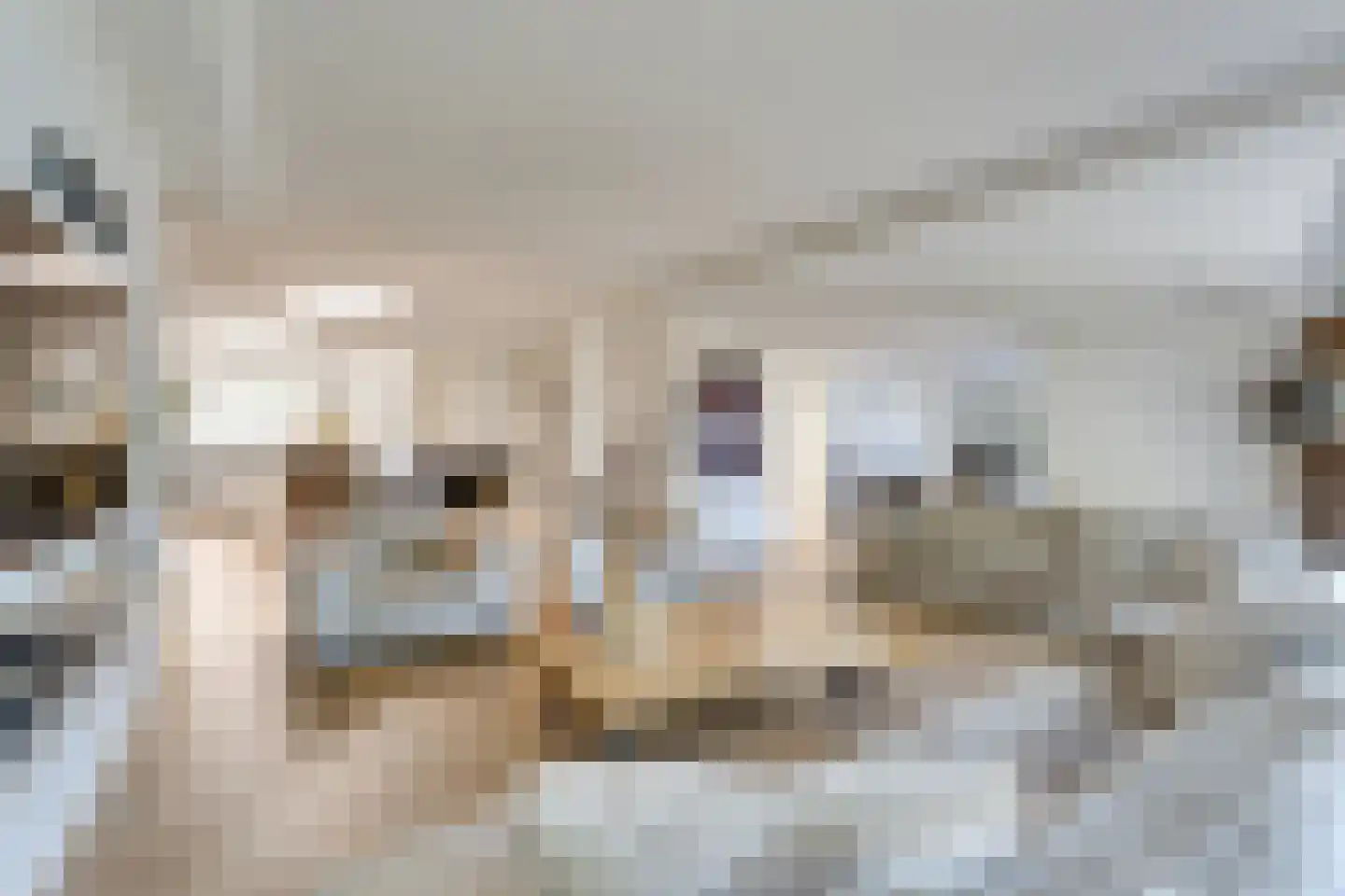 Bakboord 14 Almere thumbnail 7