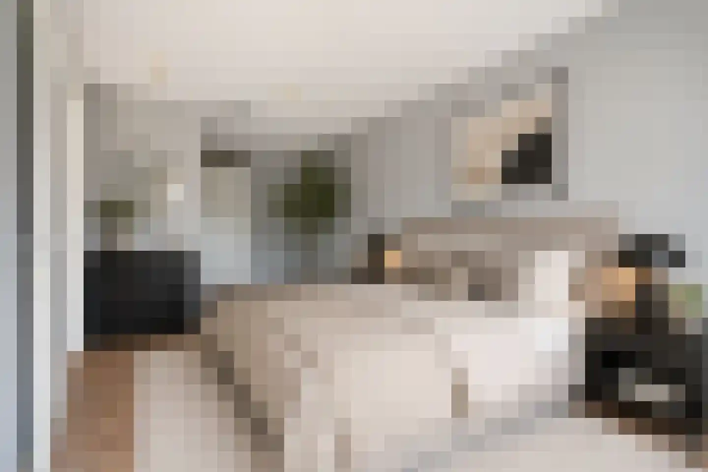 Bakboord 16 Nijkerk thumbnail 20
