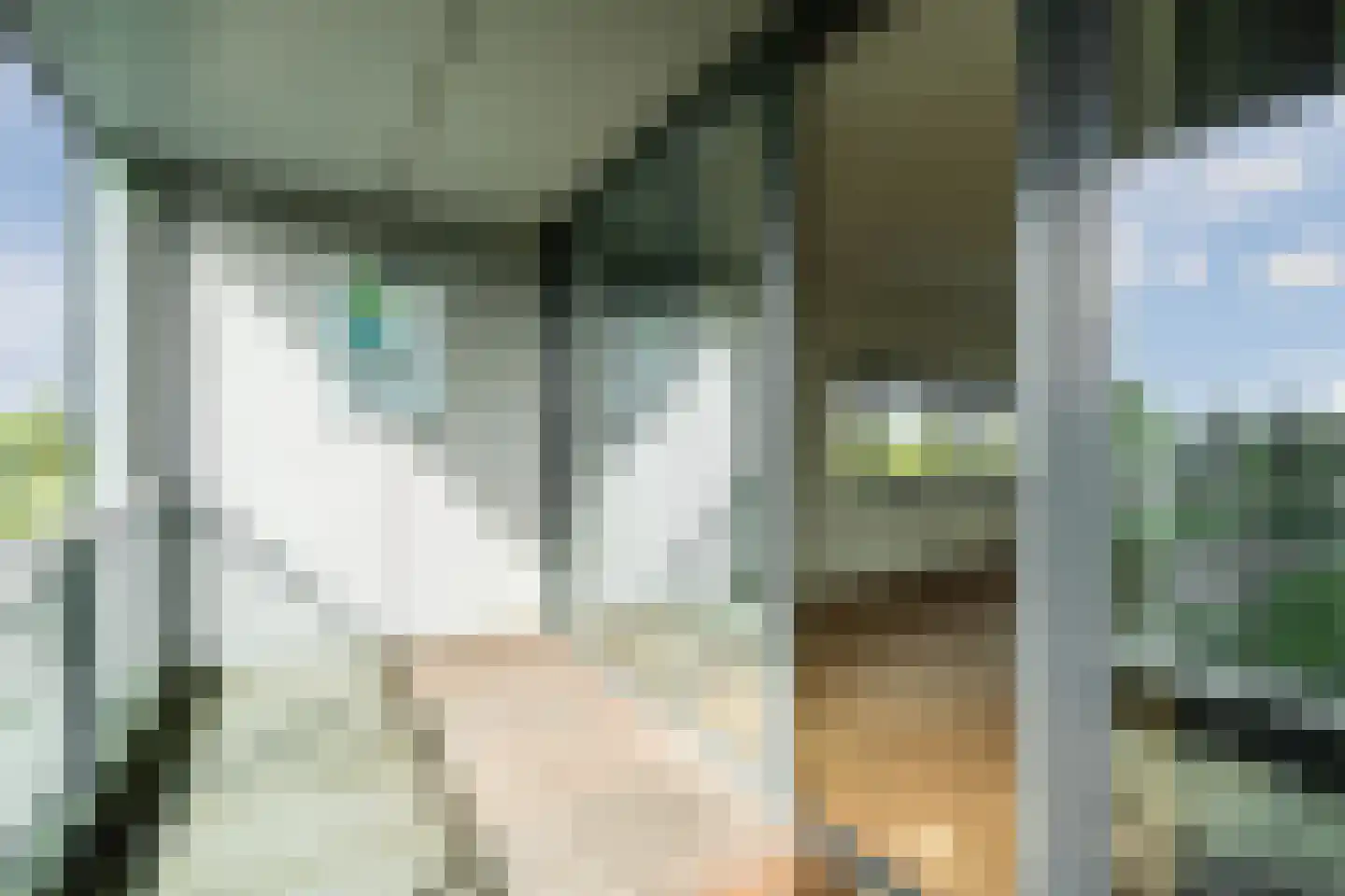Bakboord 16 Nijkerk thumbnail 30