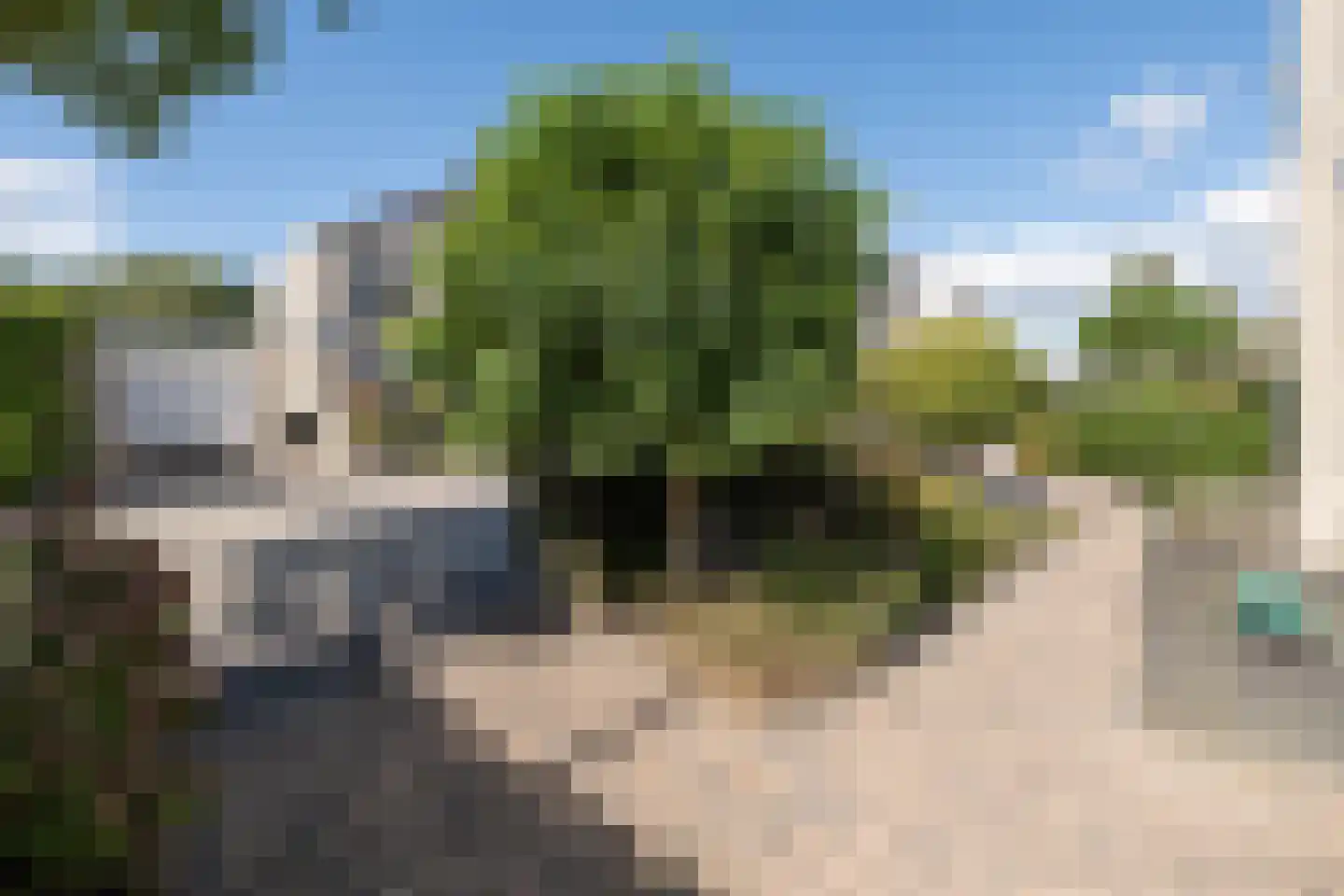 Bakboord 2 Almere thumbnail 66