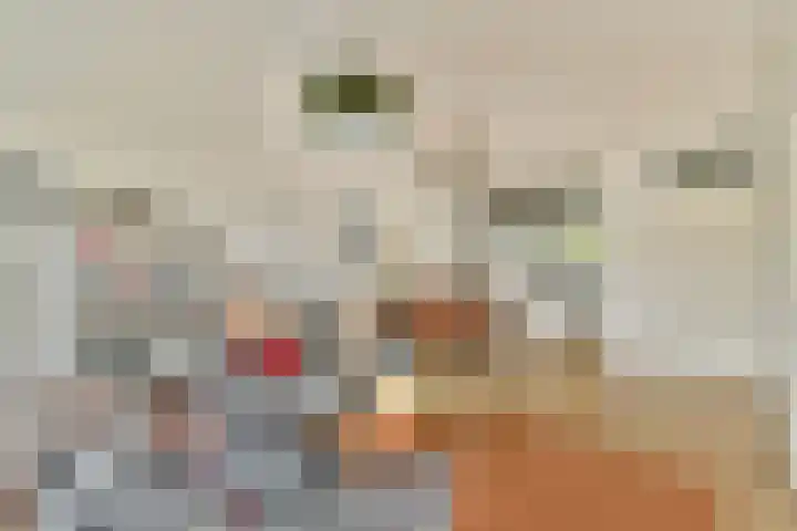 Bakboord 22 Amstelveen thumbnail 5