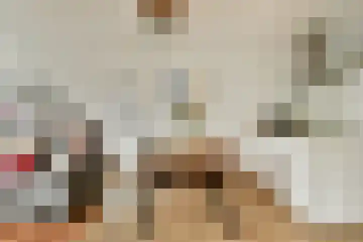 Bakboord 22 Amstelveen thumbnail 6