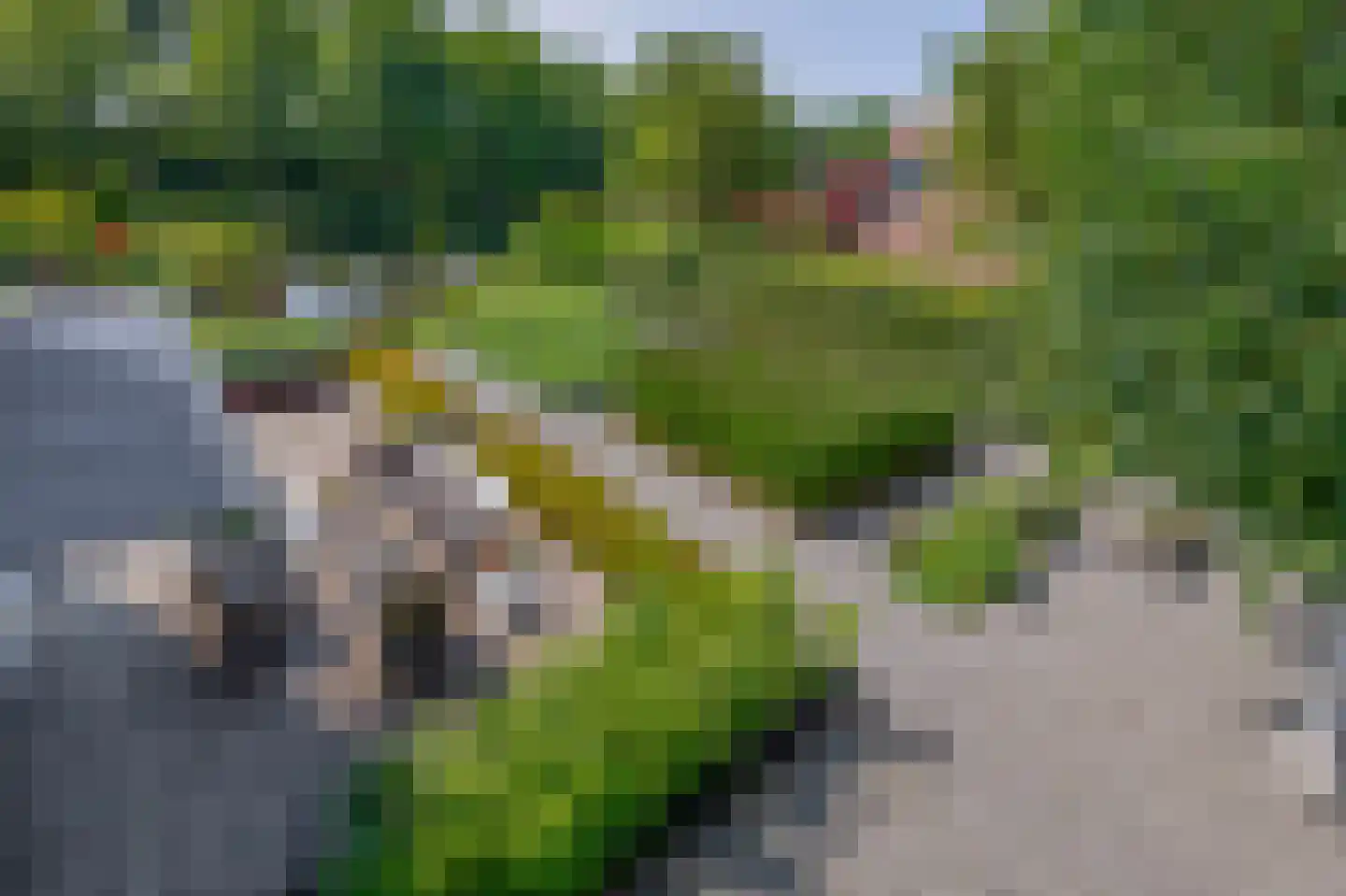 Bakboord 24 Stadskanaal thumbnail 23
