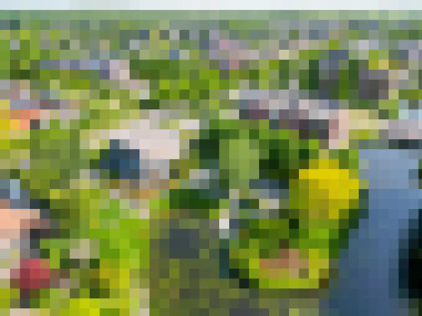Bakboord 24 Stadskanaal thumbnail 30