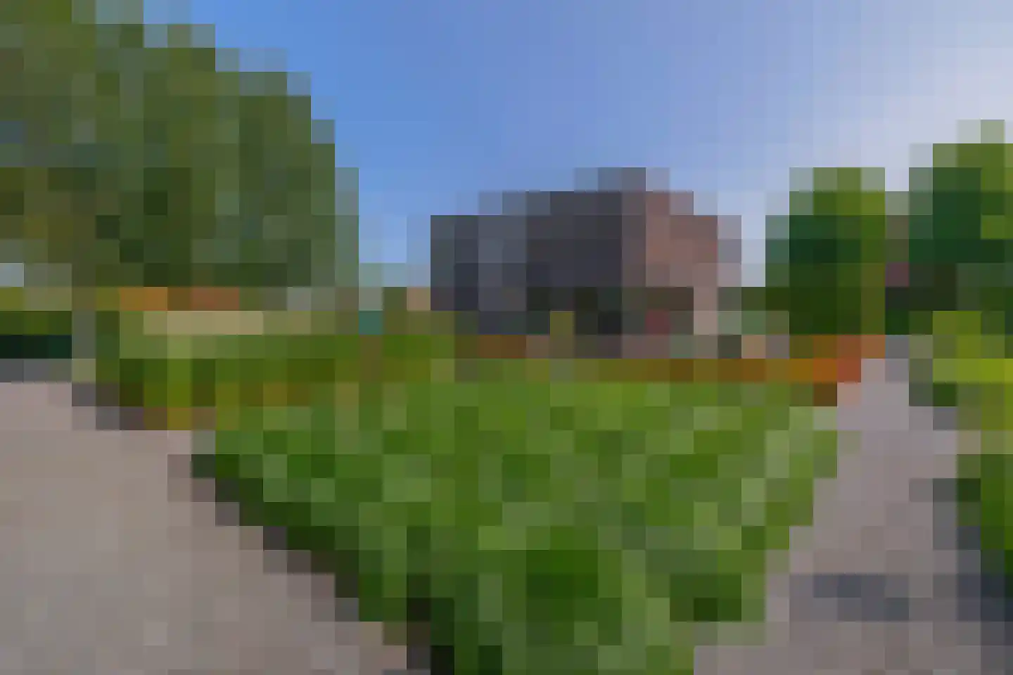 Bakboord 24 Stadskanaal thumbnail 42