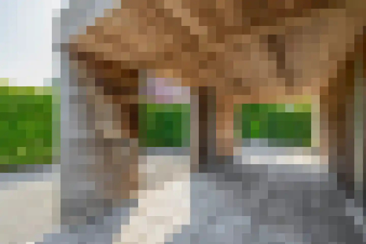 Bakboord 24 Stadskanaal thumbnail 49