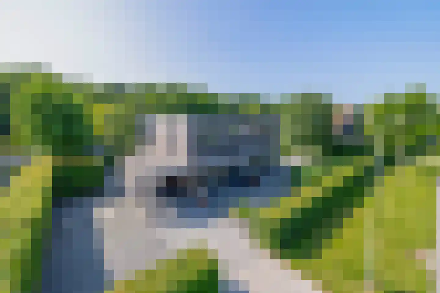 Bakboord 24 Stadskanaal thumbnail 51