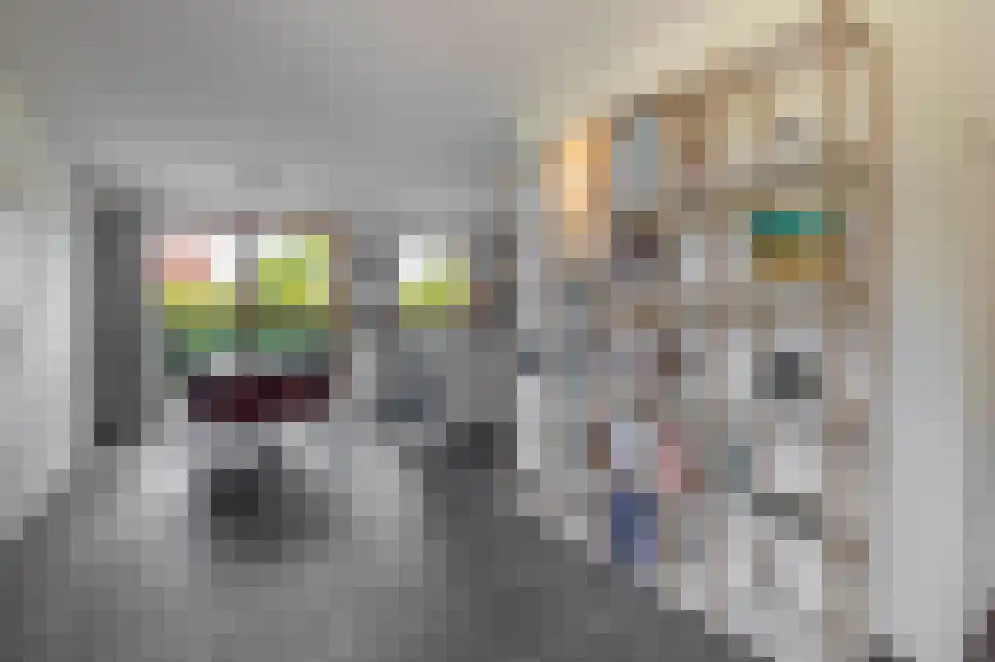 Bakboord 24 Stadskanaal thumbnail 8