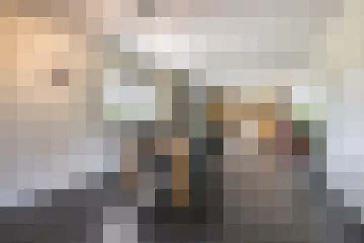 Bakboord 26 Meppel thumbnail 13