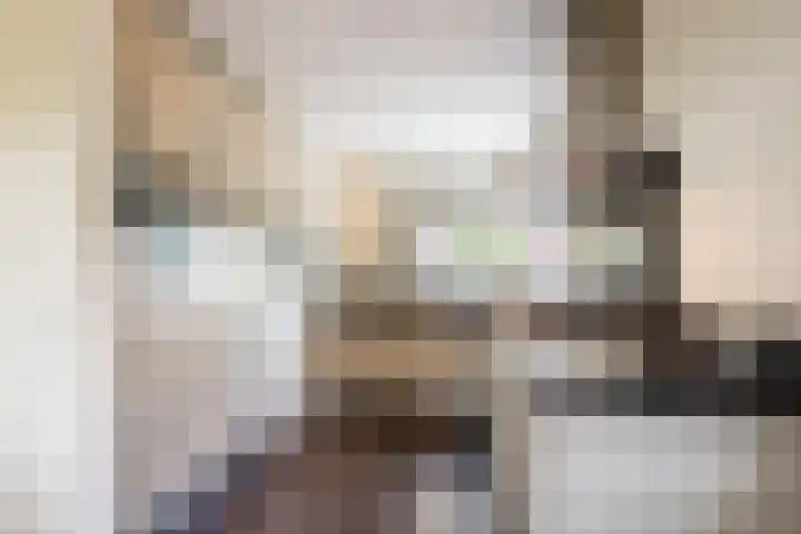 Bakboord 26 Meppel thumbnail 14