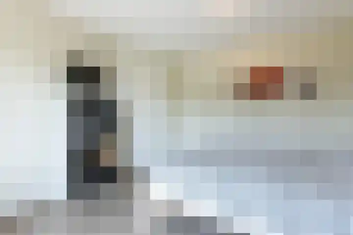 Bakboord 26 Meppel thumbnail 20