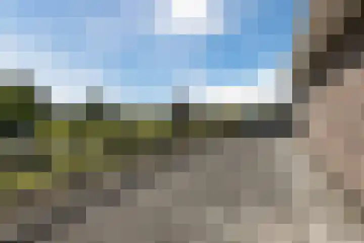 Bakboord 26 Meppel thumbnail 22
