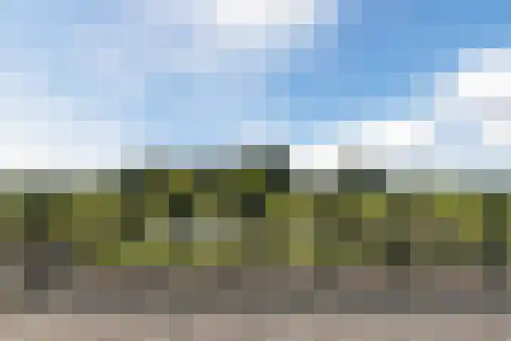 Bakboord 26 Meppel thumbnail 23