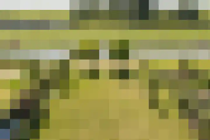 Bakboord 26 Meppel thumbnail 24
